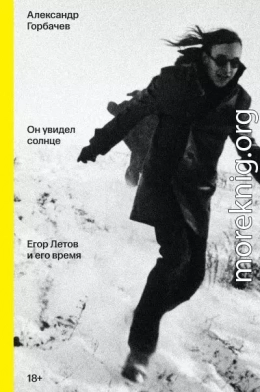 Он увидел солнце. Егор Летов и его время