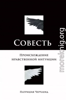 Совесть. Происхождение нравственной интуиции