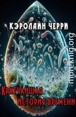 Кратчайшая история времени