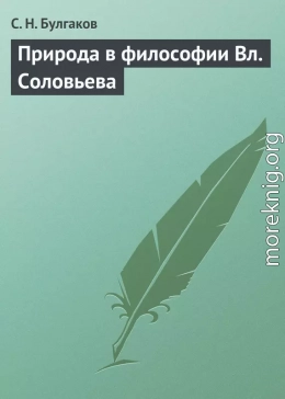 Природа в философии Вл. Соловьева