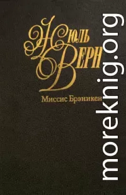 Миссис Брэникен [Миссис Бреникен]