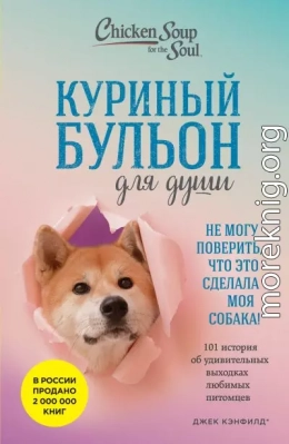 Куриный бульон для души. Не могу поверить, что это сделала моя собака! 101 история об удивительных выходках любимых питомцев