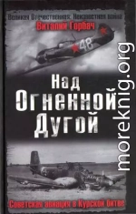 Над Огненной Дугой. Советская авиация в Курской битве