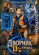 Дворник 13-го уровня. Том 5