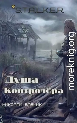 Душа Контролёра