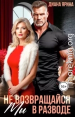 Мы в разводе. Не возвращайся
