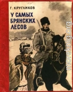 У самых брянских лесов