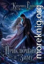 Приключение в Зиму