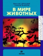 В мире животных