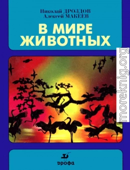 В мире животных