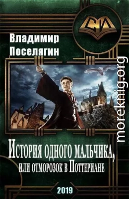 История одного мальчика, Или отморозок в Поттериане (СИ)