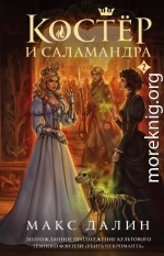 Костер и Саламандра. Книга 2
