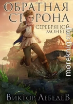 Обратная сторона серебряной монеты