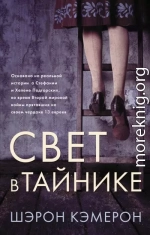 Свет в тайнике