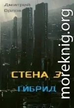 Стена 3. Гибрид (СИ)