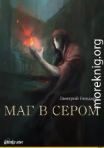 Маг в сером (трилогия) (СИ)