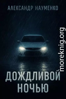 Дождливой ночью