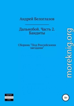 Дальнобой. Часть 2. Бандиты