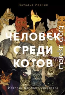 Человек среди котов: История близкого соседства