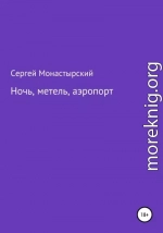 Ночь, метель, аэропорт