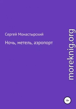 Ночь, метель, аэропорт