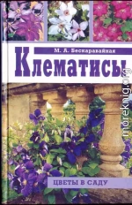 Клематисы