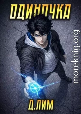 Одиночка. Том IV