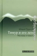 Тимур и его лето
