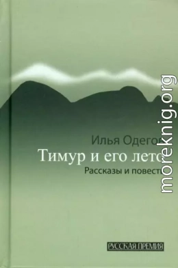 Тимур и его лето