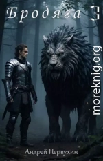 Бродяга. Том 3