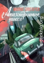 Анизотропное шоссе. Путеводитель по дорогам, которые выбирают