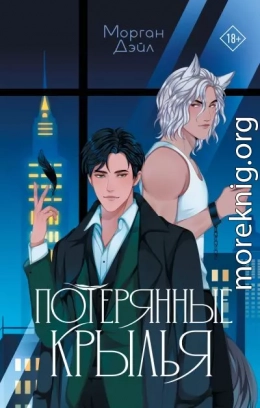 Потерянные крылья