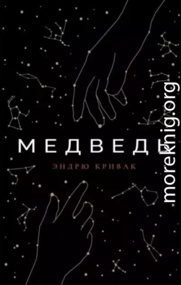 Медведь