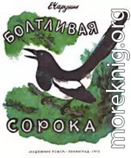 Болтливая сорока