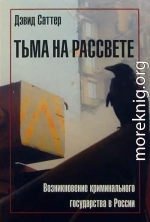 Тьма на рассвете. Возникновение криминального государства в России