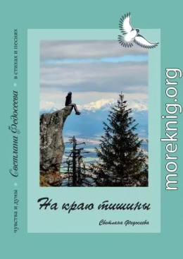 На краю тишины. Чувства и думы в стихах и песнях. Книга 4