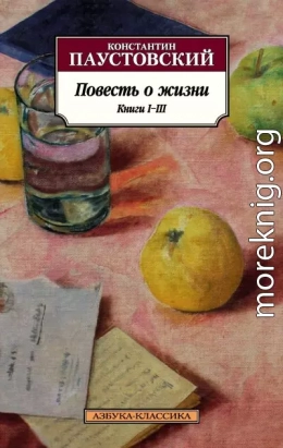 Повесть о жизни. Книги I–III