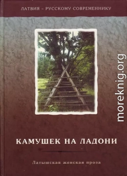 Камушек на ладони. Латышская женская проза