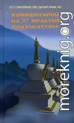 Комментарий на «37 практик бодхисаттвы»