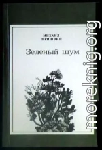 Как заяц сапоги съел