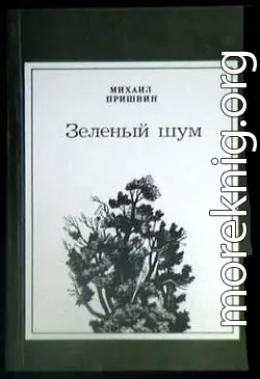 Путешествие в страну непуганых птиц и зверей