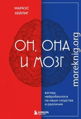 Он, она и мозг. Взгляд нейробиолога на наши сходства и различия