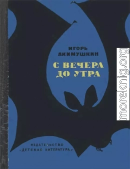 С вечера до утра