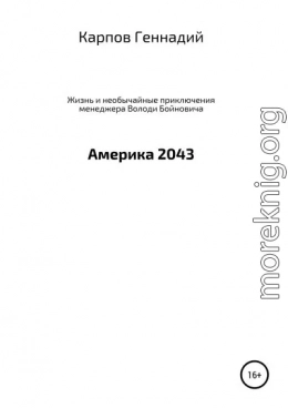 Жизнь и необычайные приключения менеджера Володи Бойновича, или Америка 2043