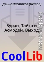 Буран, Тайга и Асмодей. Выход