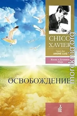 Освобождение. Через Дух Андрэ Луиса