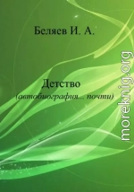 Детство. Автобиография… почти. Книга первая. Цикл «Додекаэдр. Серебряный аддон»