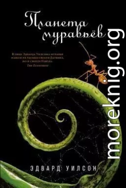 Планета муравьёв