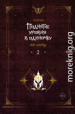 Поднятие уровня в одиночку. Solo Leveling. Книга 2