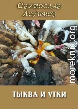 Тыква и утки